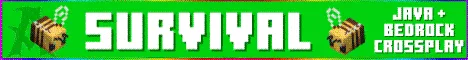 Advancius Network banner