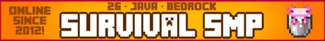 InsanityCraft [26.4] Turkey banner