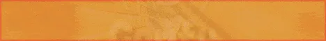 ComfySMP 🐲 Chill Survival banner