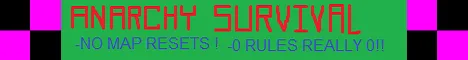 The 10 Year Project banner