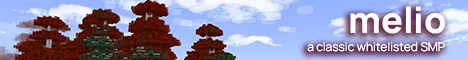 Melio SMP banner