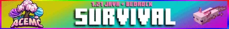 Ace MC banner