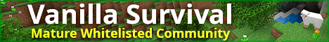 🔥Minecraft Fun Servers | #1 Minecraft Server List