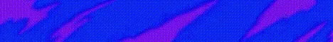 IPSC banner