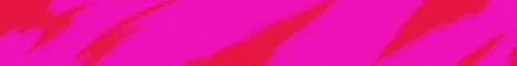 Polys Kimchis banner