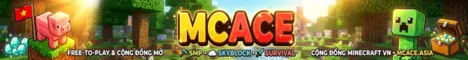 MCACE Viet Nam server banner