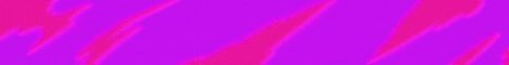 vex network